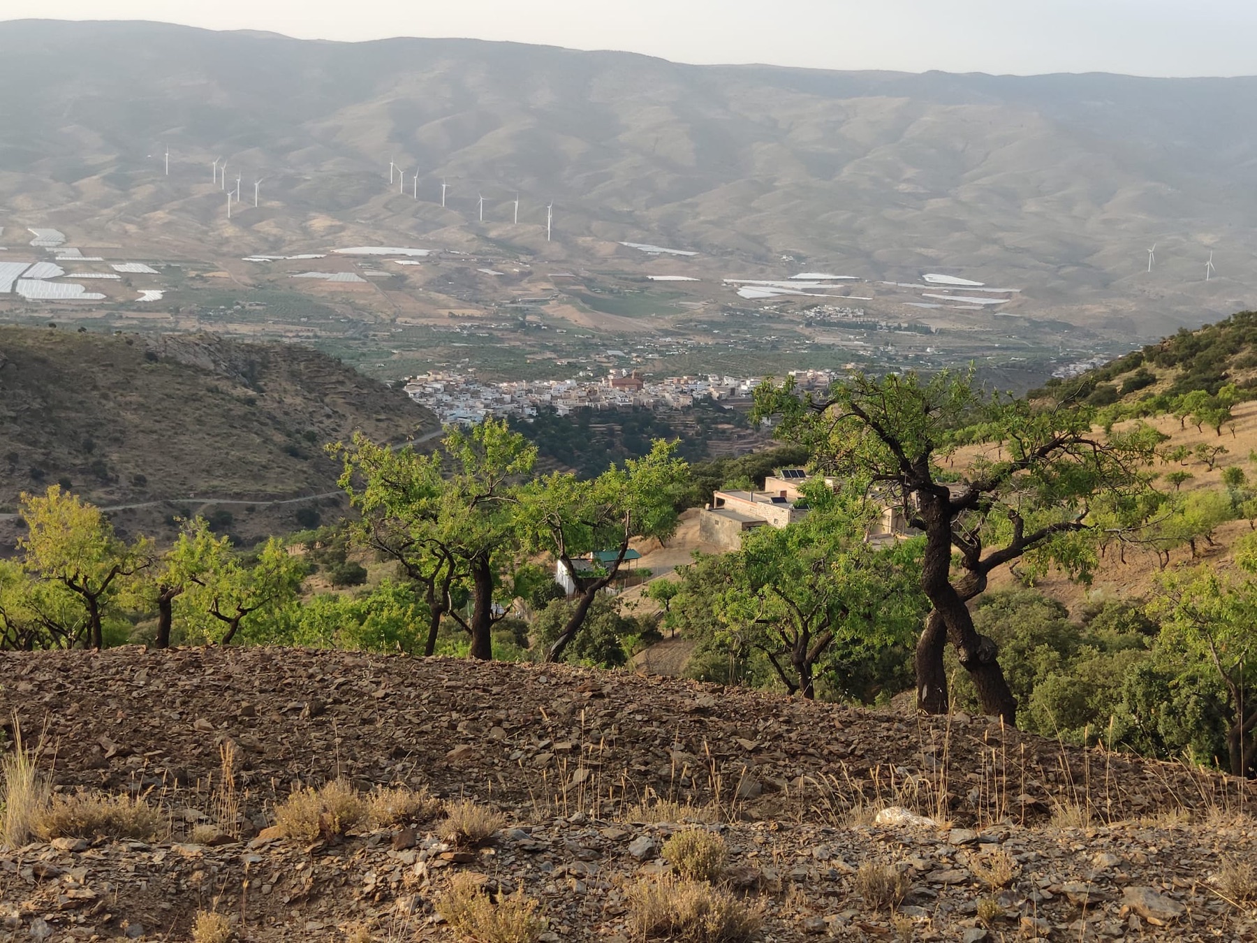 Finca rústica con cortijo para reformar en Abrucena