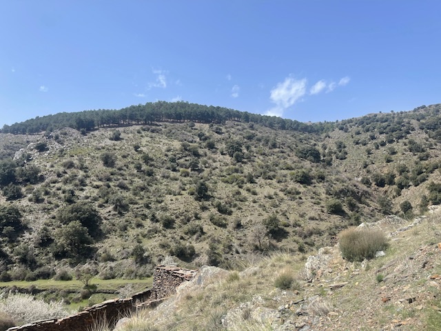 Fincas de caza con cortijo en ruinas en Bacares